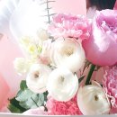 No.1 POM 이미지