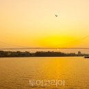 다리여행사 이미지