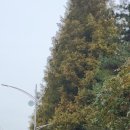 삶디자인 교육 협동조합 이미지