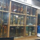 털랭이매운탕고향집 이미지