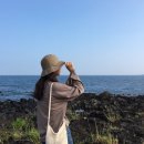 협재올레 이미지