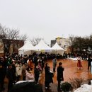 천왕메기 이미지