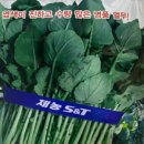 신토담이 이미지