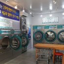 아쿠아워시진주