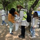 석수초등학교 이미지