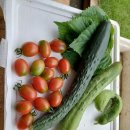 전지보건진료소 이미지