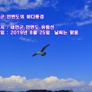 안면도바다풍경 이미지