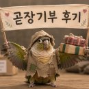 온고을 | 곧장기부) 기부완료 후기❤️(온고을아동센터)