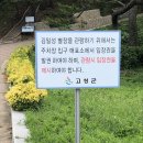 이승만별장 | 고성 화진포해수욕장 김일성 별장(이승만,이기붕별장) 방문 후기