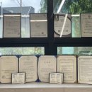 디보쉬 헤어 | 대구 달서구 두피관리 진천동 두피케어 디보쉬 대구본점