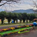 무안군청 이미지