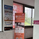 파워요가 | [수완장덕동] 수완지구 캘리포니아 파워요가 무료체험 후기