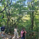 설악산매표소 | 속초,고성 2박 3일 가족 여행 장소 추천 설악산 케이블카 후기