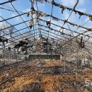 방송양계장 이미지