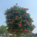 하남시청역부동산공인중개사사무소 이미지