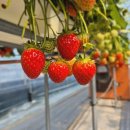 태권농장 이미지