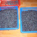 동준농장 이미지