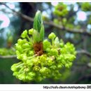 주덕초등학교 이미지