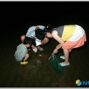 월하성