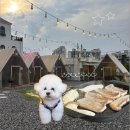 740 | 구미 애견동반 식당 바베큐740, 프라이빗 야외 바베큐장 내돈내산 솔직후기