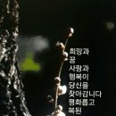 들깨잎 효소의 효능 이미지