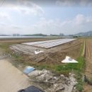 원뜰농장 이미지