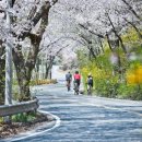 산서로 뉴스충청인