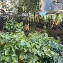 남천1-211 이미지