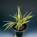 유강정보 이미지