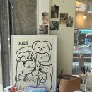 애견부티크 이미지