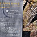 청안 광덕산 산행, (2) 광덕사와 호두나무 시배지 이미지