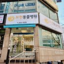 보현동물병원 이미지