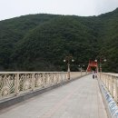 동굴칡국수 이미지