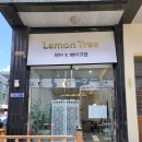 헤어&메이크업 Lemon Tree(레몬트리) | [메이크업] 동탄 Lemon Tree 헤어&메이크업 내돈내산 방문후기 (재방문!!)
