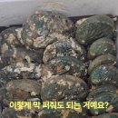 해남땅끝건어물