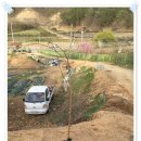 도화 농장 이미지