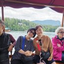 우도 선착장2 (동네슈퍼 앞) | [블레드 2일차] 플레트나보트 - St. Martin's Church - 블레드성 레스토랑 - 블레드성 - 빈트가르협곡