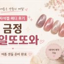 또또와네일