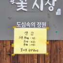 종로 형제육회 본점 🫎육회탕탕이와 육전 후기