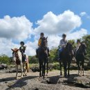 에코승마아카데미 이미지