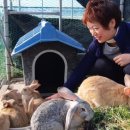 한울포도원 이미지