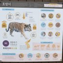 경북 봉화 백두산 호랑이 볼 수 있는 국립백두대간 수목원