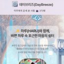 2025년 신년맞이, 사주 명리학 이미지