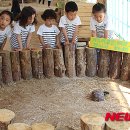 정선아기동물농장 이미지