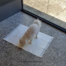 이서동물병원 이미지