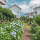 제주허브동산 이미지