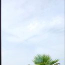 달토르펜션 이미지