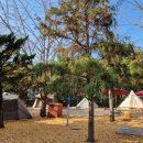 드림랜드오토캠핑장 이미지