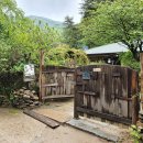 들꽃이야기 이미지