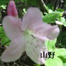 삼리경로당 이미지